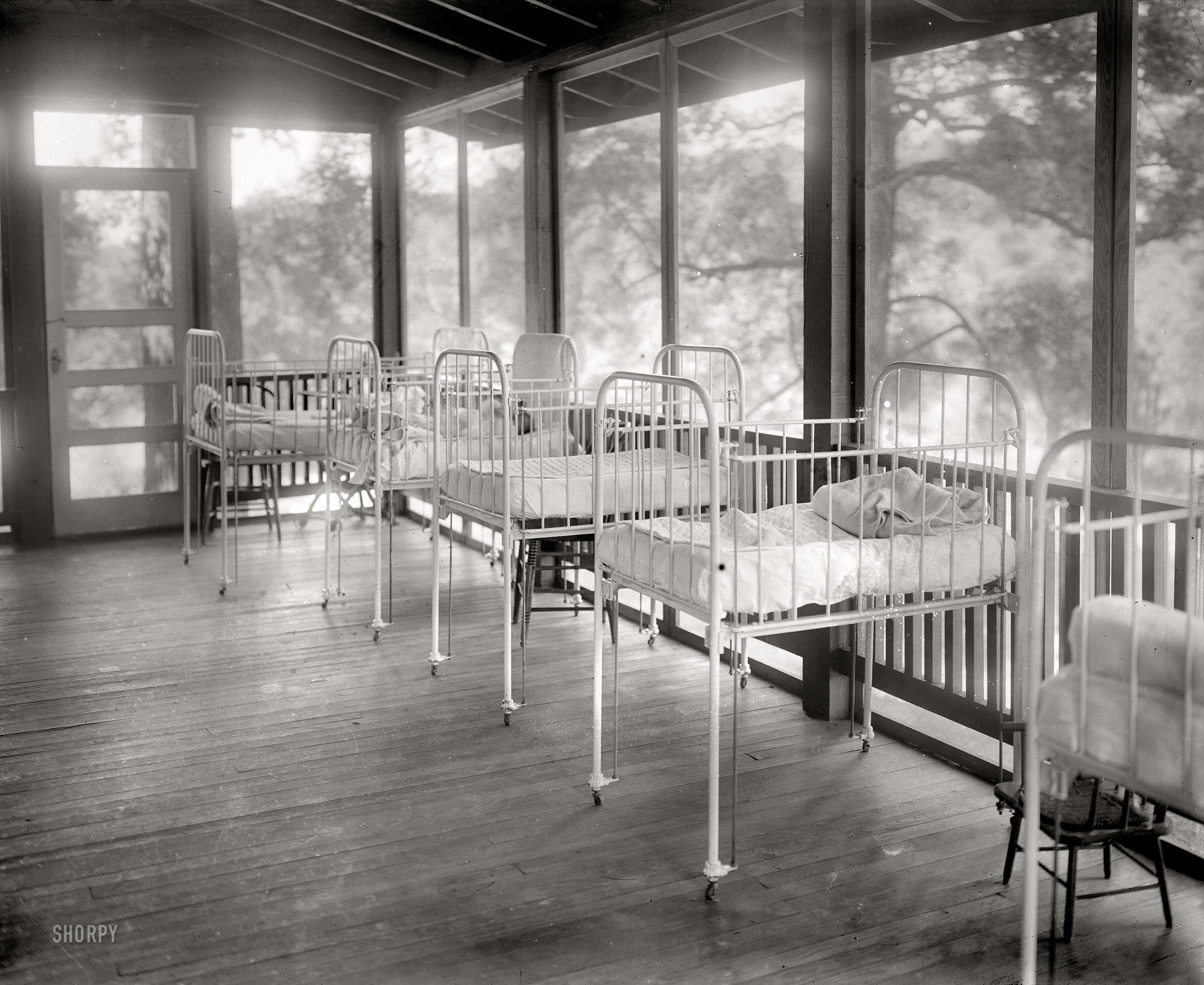 July 14, 1913. Rock Creek Park in Washington, D.C. "Camp Goodwill baby hospital." National Photo Company Collection glass negative. View full size.