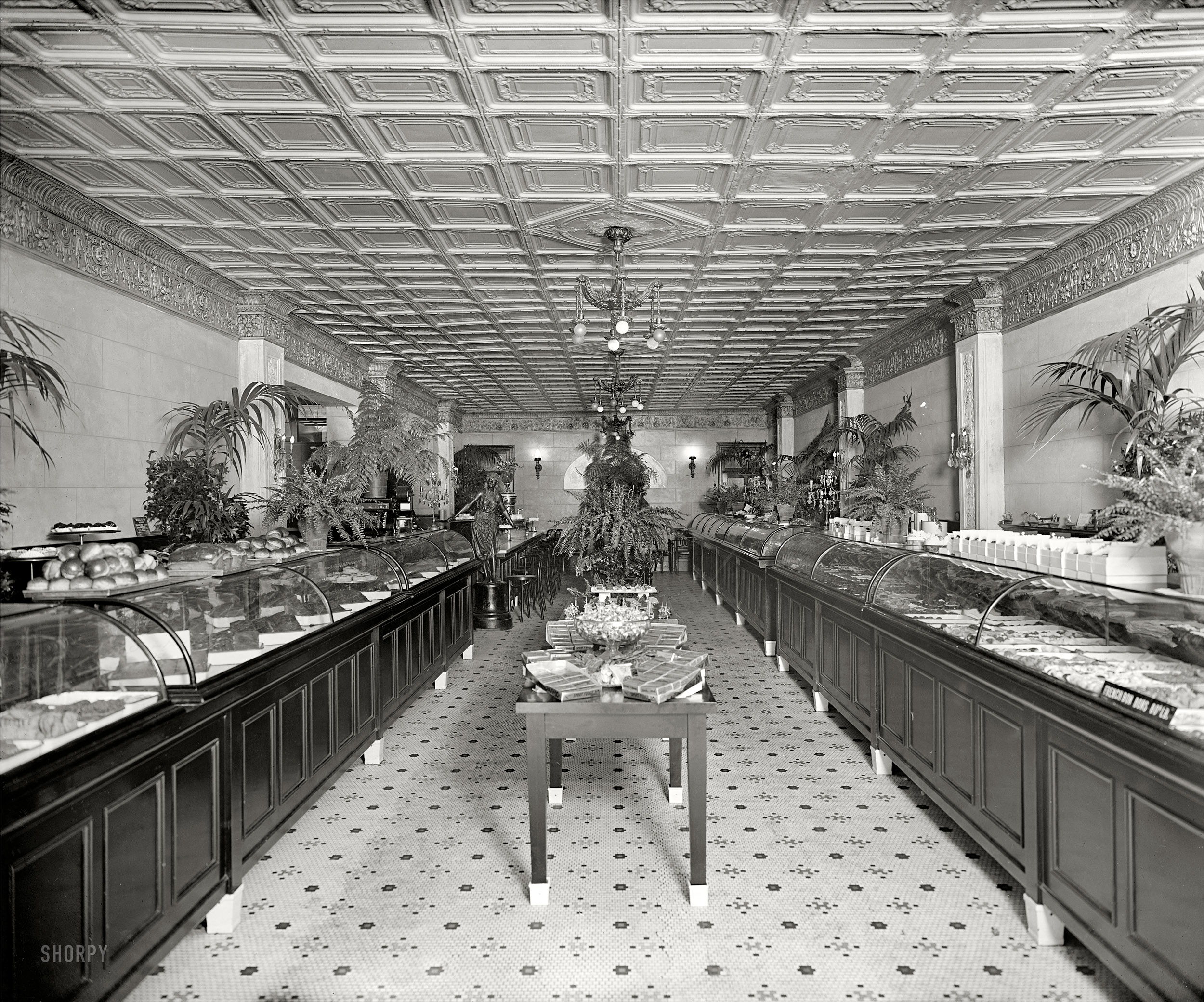 Washington, D.C., circa 1924. "Brownley interior." A sort of fernery-confectionery. National Photo Company Collection glass negative. View full size.