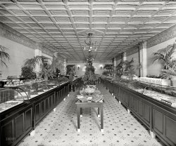 Washington, D.C., circa 1924. "Brownley interior." A sort of fernery-confectionery. National Photo Company Collection glass negative. View full size.
Candy CryptIf there was a concession stand at Forest Lawn, this would be it.
Yum!Calories at 5000 per square foot.  You could gain weight just walkin' through this place.  What's the address?
Sweet ShopWhat a lovely Victorian looking confectionery! So very elegant, clean and welcoming. Mind if I take a seat and sample some sweets?
Ant ProtectionNotice the white pots holding the legs of the cases and tables.  I assume this is for keeping the ants away.
A confection outside too!1309 F Street NW. A history of the Brownley Confectionery Building.
[That building was constructed in 1932 -- eight years after this photo was taken. The address of the confectionery in our photo is 1203 G Street NW. - Dave]
Scary sweetsBuying candy in a funeral parol, I don't think so!
Flood ProtectionThe white bootees on the table and counter legs are probably there to protect the wood finishes from regular wet mopping of that American Olean mosaic tile floor. Many years ago I lived overseas in a wet-mopping zone, and none of the household furniture I saw in anyone's houses had any finish left on the first three or four inches closest to the floors.
Buns?Is it possible to get a clearer scan of the sign in the right foreground?  It seems to mention "French [something] Buns" at 80 cents a pound.  That would amount to $10 or so in today's money.
[FRENCH BON BONS 10¢ LB - Dave]
(The Gallery, D.C., Natl Photo, Stores & Markets)