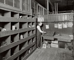 Another behind-the-scenes look at the workings of the Chesapeake &amp; Potomac Telephone Company. The calendar is for December 1924. View full size.
Telephone partsJudging by the bins full of recognizable phone parts, this may be the store room for the phone assembly hall shown in the other C&amp;P picture. The clerk here also looks like one of the workers in that photo as well. One of the great details of this photo is the Western Electric box under the table. Western Electric made telephones and other sound equipment. One historic theater that I have seen in Clifton, Texas still has a metal plate over the box office proudly advertising its Western Electric sound system (some of which is still in place backstage!). 
(The Gallery, D.C., Natl Photo)