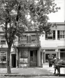 Washington, D.C., circa 1925. "The toy shop, 1207 New York Avenue." The former Apolonia Stuntz store (seen earlier on Shorpy here and here) where Abraham Lincoln is said to have bought toys for his son Tad, now the Lee Lung First-Class Laundry ("Bosom 6¢"). A scene so sun-dappled and languid, it's making us ... very ... sleepy. National Photo Company Collection glass negative. View full size.
Camera ShyThe horse may be drowsing, but his groom is very aware of the photographer.
PricesIs that 6 cents a bosom? Perhaps a dime for the pair?
Looks like horseyhas a hairball.
Boot &amp; Shoe RepairingIt's good to see Louis Kurtz is still going strong these 12 years later.  His store hasn't changed a bit.
Rooms For RentI wonder how you got to your room when Lee Lung had closed up shop for the day.
Before inflationTo launder a complete shirt: 7 cents for the shirt, 15 cents for the collar, and 3 cents for the cuffs - a total of 25 cents. In 1966, it cost me 25 cents to launder a shirt (with starch) in Carbondale, IL. The collar and cuffs were attached.
Louis Kurtz: Presidential Bootmaker 


Washington Post, Sep 23, 1923.

Made Boots for Gen. Grant.
By Byrd Mock.


How many people in Washington know that the shoemaker to President Grant still makes shoes at this little shop at 1209 New York avenue northwest?

Above the door of this battered-looking old shop is the legend, "L. Kurtz, Boot and Shoe Manufacturer," but it takes good eyes to make out the lettering dimmed with age, for the sign has never been changed or renewed since it was first nailed over the door of the cobbler's shop 43 years ago, when he moved from the old shop at 733 Seventh street northwest, where Grant, both as general of the United States army and as President of the United States, personally paid frequent visits to have his boots made and repaired, as well as to order shoes for his entire family.

At the time Gen. Grant gave his first order for pair of boots, L. Kurtz was a young apprentice to his uncle, Louis Kurtz, and it fell to the young man's lot to stitch the tops of the uppers of the general's boots and to fit them to the bottoms, which were made by his more experienced uncle.

Gray haired, horny-handed, wrinkle-skinned, almost at the end of his three score and ten, Louis Kurtz still toils. "Week in, week out, from morn till night," smiling as he sits on his low and much worn cobbler's seat, keeping a sort of jagged rhythm with his hammer strokes with which he punctuates his conversation. &hellip;

[Stories of Grant's first visit to the shop, his shoe size, "He wore a 7&frac12; on a wide last," and visits from Grant's children. Other famous patrons: Gen. Sherman, Adm. G.W. Baird, Judge Dent, and President Mckinley.]

(The Gallery, D.C., Horses, Natl Photo)