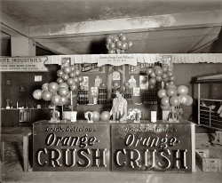 Washington, D.C., 1926. "Industrial Exposition. Orange Crush." A literally moldy oldie. View full size. National Photo Company Collection glass negative. If you're a fan of these Washington Industrial Expo photos, stay tuned.
.05I'll have an orange crush for 5 cents please.
Lemon and LimeLooking in the background, they had lemon and lime crush too. Huh, I never knew that.
My PalDon't know if these orange drinks were nationally distributed or regional but having spent my first 24 years in Connecticut, I also loved Pal, a non-carbonated orangeade. Crush was good too, but carbonated. Much later there was a grape Crush and also a Nehi Grape. The Northeast also had birch beer which I have not found anywhere else around the USA.  There was dark birchbeer, white birchbeer and red birchbeer, a very refreshing cold drink, especially good with Connecticut pizza. (Come to think of it, I don't think I have ever seen a white birch tree since I left Ct.) Everything was so much tastier in those days, maybe my tastebuds have died.  Thanks for the wonderful "blasts from the past", I love them all.
Trade ExpoI wonder if they took these just before the doors opened.  They all look curiously void of customers compared to trade expos I've visited.
Drink UpI can understand the Lemon and Lime Crush. But the Schmidt's... is that the non-alcholic version made for prohibition era markets? I can't find a good picture of the label of that brew.
I&#039;ve got my spine ...I'd imagine most site visitors between the ages of 30 and 50 now have the same R.E.M. song stuck in their head. 
I was pleased to learn that the drink is still made, though not as widely available as it once was. It had been around for about 10 years when this picture was taken; Lemon and Lime Crush were newer introductions.
Good GrapePrevious commenter said grape was invented years later, but there it is on the sign behind the balloons.
[He was talking about Nehi Grape. There was also Nu-Grape, seen here and here. - Dave]
Counter GirlAt expos today, they usually use models. This girl looks a little like Jerri Blank.
Foxon Park Birch BeerFoxon Park in East Haven still makes white birch beer and it's still great. They use real sugar, not high fructose corn syrup. You can order it from their website:
http://www.foxonpark.com/
I'm sure a bottle will show your taste buds to be fine.They also make Iron Brew, which some people compare to Dr. Pepper. If you like Moxie, you'll like Iron Brew.
Old memoriesMy first job in the early 60's was making Orange Crush for a local distributor in Fall River, Mass. Delco Bottling. I remember the time we put root beer bottle caps on the Orange Crush. OOPS!
Mom &amp; Pop pop"Cinti" -- never heard of that particular abbreviation for "Cincinnata," as some Buckeyes referred to Cincinnati.
The Orange Crush beverage I recall was late 1940s vintage in the ripply brown bottles. It contained real orange juice and pulp with a lot less sugar. 
At our local "mom &amp; pop" convenience store you leaned over the water-filled cooler, lifted one of the heavy double doors, plunged your hand into the cold water filled with various brands of pop and wiped the dripping bottle on an equally soaking wet cloth.
Then you put your selection in the bottle-top remover on the cooler and snapped off the cap, which dropped down into a receptacle that the local boys were only too happy to empty. We'd remove the cork liners, place the metal part on the outside of our T-shirts and push the cork liner from the inside our T's back into the back of the cap.
This gave us instant "badges" looking a lot like military medals and we'd see how many we could get on one shirt. It was great for playing soldier! The caps were also scratchy against our bare skin.
We also collected paper milk bottle caps. There were always a bunch of different dairies who delivered door-to-door with their horse drawn wagons. But that's a whole other pastime.
We seldom had money to buy baseball card bubble gum packs. These were the days of very low tech, no-cost activities we neighborhood kids would do during summer vacations.
We never seemed to get bored.
(The Gallery, D.C., Natl Photo)