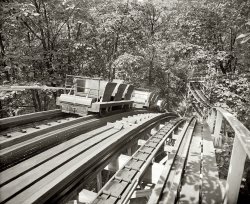 The Coaster Dips rollercoaster at Glen Echo amusement park circa 1928. View full size. National Photo Company Collection glass negative.
What a thrill especially without a seat belt!!  Yikes.  I wonder how many people learned about gravity~ it's the law, you know.. Now they restrain the restraining devices~ you can't move~ but you sure stay in (most of the time, anyway). Great pic
Glen Echo ParkGlen Echo Park was originally founded in 1888 to be the "National" Chautauqua.  It was based on the original Chautauqua, in Chautauqua, NY.  Unfortunately they built near a swamp, and several of the founders died of typhoid fever within the first year, and the whole project collapsed. The typhoid problem was solved a few years later, and the park reopened as an amusement park. Many "Chautauquas" around the country went on to become parks, and even towns, such as Redondo Beach, CA. Glen Echo Park is now operated by the National Park Service.
(The Gallery, Natl Photo, Sports)