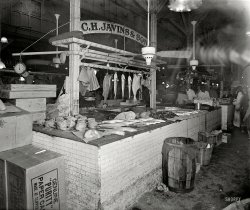 September 1926. "Thos. R. Shipp Co. -- C.H. Javins stand." The Charles Javins seafood stand in our second look today at Washington's old Center Market. National Photo Company Collection glass negative. View full size.
Where&#039;s the flypaper?For this photo, as for the one of the meat purveyor, there are no coils of flypaper festooning the ceiling. Perhaps they removed them for the picture; or it was midwinter.
[What's the first word of the caption? - Dave]
The Center MarketMust have smelled like the rendering plant in this place. The stench must have knocked people down in the summer months. Thank God I was not around to visit this place. 
When did Americans get so wimpy?Looking at this picture, from less than a century ago, with the whole chickens, heads, feet and all, makes me wonder when American got so wimpy about such things. I cooked chicken and beef hearts, chicken gizzards and all kinds of livers all those years my ex was in school, but I could never get near chicken feet and heads. Makes me kind of ashamed, really, that we Americans let anything like that go to waste. 
Later:
Thanks, OTY! I knew that people all over the world used those parts, but I have never seen them offered for sale here in America. I have a recipe in The Black Family Reunion cookbook for chicken feet stew, but I don't even know where I would get the chicken feet, if I wanted to try it. African American women have always had a great talent for taking the parts that no one else wanted and making something tasty and nutritious for their families out of them!
Fish or MeatAt last, I learn why there are no fish hamburgers.



Advertisement, Washington Post, Mar 17, 1924. 


Differences and Similarities
Between Fish and Meats

Though fish and meats are commonly considered as different articles of food, they are nevertheless for nutritional purposes almost the same thing. The similarities are more striking than the differences. FISH will serve the purposes of MEAT in every particular and for an indefinite time. The choice is mainly in taste, price and variety. 
Still, if argument need to presented, fish will be found there and ready. One difference to be noted is in the physical properties. The connective tissues of fish are gelatinous, and on brief cooking, without chopping or pounding become so tender as to fall to pieces. This fact alone explains the easy digestibility of fish. It also explains why there is no such thing as a fish hamburger: You don't need to grind it as a preliminary to chewing it.
FISH MEAT generally does not hold blood, and is therefore usually white. FISH has valuable minerals, vitamines and other constituents. Fish that are not too fat are always easily digestible.
In summary, the main fact from your point of view is that you can have a refreshing change to sea food, introduce variety into your diet, and be sure that your food is rich, wholesome, adequate and fully justified by scientific research. You will make no mistake by getting the sea-food habit.
If you want the best of Fish and Sea Foods, buy from the following wholesale and retail dealers, who are known for their fair prices and dependable service. 

&hellip;
CHAS H. JAVINS &amp; SONS,
Center Market, B St. Wing, Main 8649
&hellip; 


Chicken of the SeaI always thought "Chicken of the Sea" referred to tuna.
Sorry, Charlie!
Hangin&#039; OutThe fish hung on the rod include an Atlancic salmon and four striped bass, the latter found in waters local to DC.  The most interesting is the flatfish, an Atlantic halibut, a species now almost extinct.  They were once plentiful throughout the north Atlantic all the way down to New Jersey, and are the largest of the halibut species.  In addition to being quite tasty, the Atlantic Halibut was prized for its liver, which produced an oil rich in vitamins.
Nearest the FanI'll have two fancy chickens, nearest the fan that's operating if you please.  Somewhere along the way us modern folk must have lost our immunity to samonella. 
A mysteryI still can't figure out -- with all that great food so readily available back then, why was the life expectancy average so low?  'Tis quite the paradox.
AromasBet you didn't have to see Mr. Javins to know whether he was in church with you.
FreeE. coli!
85 years in the futureWhen Shorpy shows pictures of today’s meat and fish markets 85 years in the future. Won't be around to see that one, I wonder what comments will be made about today’s unsanitary and unhealthy conditions. I feel the comments will be similar to those previously posted.
Today&#039;s KickerThe kicker is there are thousands of markets, just like this one, operating today and tomorrow all around the world.   And one doesn't need to travel all that far to find one:  they are common in Central America.
Indeed this is how a great proportion of the population still does their daily shopping, along with a second trip out to the bakery.
Interesting is there usually is no strong "aroma" and the markets generally smell like your neighborhood butcher shop.  Today, and probabl yesteryear as well, the markets are given thorough cleanings at the end of each day;  after all, they must give a good impression to tomorrow's shoppers.
There may be some visual objections but I would rather enjoy that fish caught early this morning rather than one which has been sitting around a modern supermarket for a week.
Center MarketC.H. Javins &amp; Sons had been selling fish since at least 1882 in Washington. At Center Market in stalls 229-48 and 280-82 (1923 Polk directory). Possibly this is 229-48, since behind Javins appears to be Gus G. Gillespie, produce, who had 249-52. Likely that is Chas. W. Smith, produce, in 199-204 to the right of Gillespie. More here on Center Market at the bottom of the page, and here.
Paper CansThose boxes in the foreground are labeled "Paper Cans." What are those, and why don't we hear of them any more?
This place looks excitingI guess I'm getting old, but I remember my folks (mainly my dad) taking me to places that looked like this when I was little - busy, dirty, crowded with stuff everywhere.  They were very exciting.  Sometimes it was markets, like this, sometimes city streets with stalls and vendors, sometimes factories - working or abandoned.  He liked old repair shops with spare parts everywhere.  His shop in the basement was festooned with stuff everywhere like this place.
Sometimes we would get an outboard motor fixed, sometimes he would buy me a whole salami.  It was always fun.
My mom only took me to clean, boring places.
Rooster Combs and Chicken FeetFor Noelani's reply, rest assured that the items in the title do not go to waste.  Rooster combs are used to make a medicine called hyaluronic acid that is injected as a lubricant for osteoarthritis patients, some say it works, some say not sure.  Chicken feet are used by multiple ethnic groups including Asians, Eastern Europeans, Africans, Latinos and others for delicious stocks, soups and regular eating and are not dirty because the outer skin on the chicken feet is removed (much like shrimp shells). Beneath that skin is juicy, fatty, very tasty chicken morsels and lots of bone.  Very little, if anything, goes to waste among poor populations.  I'm not sure about the beaks.     
Paper CansI believe you can see them in action right now if you peer into the ice cream cooler at any Baskin Robbins store. They have been in use there for a very long time. I remember a small advertising campaign there in the early 1960s in which they tried to encourage patrons to take home the hosed-out empties and reuse them as storage containers.
One suggestion for the frugal proto-Martha Stewarts and starving students was to cover them in wallpaper to make a decorative waste basket.
I will have to stop at a BR tonight for some field research to verify current use and see if the company noted still is the supplier.
[You can see them in the freezer case at your grocery store. "Paper cans" are the waxed cartons that ice cream is sold in just about everywhere. Also used as deli cartons for potato salad and such.  - Dave]
(The Gallery, D.C., Natl Photo, Stores & Markets)