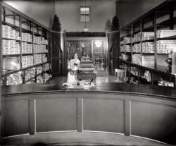 "Palace Laundry." Miss Spahr of the Elite Laundry, 5616 Connecticut Ave. N.W., circa Christmas 1924. View full size. National Photo Company glass negative.
DatedYou know, I still use a date stamp like the one on the desk.  I'm sure it's about the same age too.  The company/building has been around since 1901.   It was only a couple years ago that I finally disconnected an old phone from the 30's too.
Speaking of &quot;Dated&quot;Sounds like you still work there at the Palace Laundry.  Perhaps our lovely Miss Spahr is likewise still employed.  The winds of change have not blown through that establishment.
Perhaps while you are using your ancient date stamp you can also pick up that newfangled telephone you just installed and call up Miss Spahr for some courting and sparking.
It seems quite likely she will be glad if you do.
I Must ConfessThis looks more like a church vestibule than a laundry, are those confessionals on either side at the back?
[Yes. For used by patrons whose reputations have been stained. - Dave]
Orderly livesLooking at this photo makes me think how orderly life seemed to be in bygone times. I wonder if it really was? 
Re: Orderly livesMrs Grundy was a powerful force in the land, it was very important to appear tidy, clean, and godly, plenty of stories survive to testify that under the surface people were pretty much just like us...
SecurityInterestingly enough, the first Shorpy photo of the Elite shop shows the interior lit up very brightly. The street and the 2 neighboring businesses (Ballards and the cigar store), are also brightly lit. The street itself appears deserted. Were they open for business at the time the picture was taken? Were they fully lit to accommodate the photographer? Or were the lights left on as a security measure? The front of the laundry appears to have no extra security equipment (bars or gates, burglar alarm window tape,if it was available then). The newer photo shows the window, at the top in the rear of the store, has bars running vertically, obviously to protect the place from burglars. I guess they could be hold-up victims through the front door and looted via the back window.
[These are two different laundries in the photos. Note the addresses. - Dave]
Dated . . . stampsAs someone who works in the identification and marking industry I can safely say the ink stamps of yesteryear are still available today.  The technological revolution has yet to find a way to improve upon stamps in the way it has other daily use items.  I could probably replace the bands, number years and day/dates, on that stamp and keep it going for the next hundred or so years.  It is interesting that the basic design of some things cannot be improved upon.
PayphoneI guess it was a coin operated phone to discourage Miss Spahr from making personal calls.
Miss SpahrI work at down the street from that address. Makes ya think.
Bring Me a ShrubberyMany things change, but others endure.  For example, my laundry today MUST have a hedge above the interior doors.  That one is not negotiable.
Pressed while you waitIt is likely that one of the doors leads to a changing room so customers could have suits pressed while they waited, a service still offered at some cleaning establishments.
In the days when people often owned only one suit, many washed their own suit and had it professionally pressed once a week or so, self-pressing the pants under the mattress the rest of the week.
(The Gallery, D.C., Natl Photo, Stores & Markets)