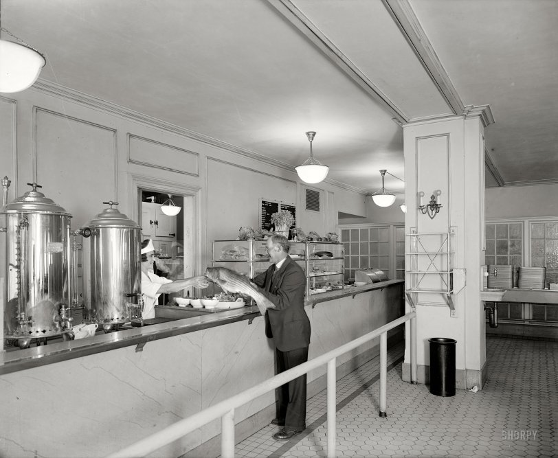 Washington, D.C., circa 1928. "Chesapeake &amp; Potomac Telephone Co. cafeteria showing presentation of rockfish." A caption that raises more questions than it answers. National Photo Company Collection glass negative. View full size.
