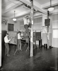 Washington, D.C., circa 1928. "Chesapeake &amp; Potomac telephone school, Georgia Avenue." National Photo Company Collection glass negative. View full size.
Safety harness, schmafety harnessJust free climb up the pole, throw a leg over the ladder peg, and go about your business.
Oh, and do it in a necktie.
One ringy dingyIn our next lesson we turn on the fan to hurricane force and ask where you left your safety harness.
Calling Mr. HaneyThe picture reminds me of Oliver Douglas climbing the pole in "Green Acres," except that Oliver was even better-dressed.
Dressed For SuccessMy cable guy never wears a shirt and tie!
Top StudentMy parents definitely sent me to the wrong school.  I would have been a much happier student climbing poles than trying to sit at a desk all day.
Blue orange green brownAnd keep those pairs twisted!
Leg wrap holdWonder if they used this technique or taught it in recent years.  It sure looks like he has no safety belt or harness on the pole.
Buckle Up ... Or OutIs the man on the pole wearing his belt buckle off to the side for safety reasons?  
MemoriesI used to know my pair colours and binder groups colours by heart!
SpikesI don't know how long it's been since I saw a telephone pole with spikes for climbing like that. These days you're more likely to see a man up in a bucket truck or occasionally with the spurs that attach to your boots and a belt.
(Technology, The Gallery, D.C., Natl Photo)