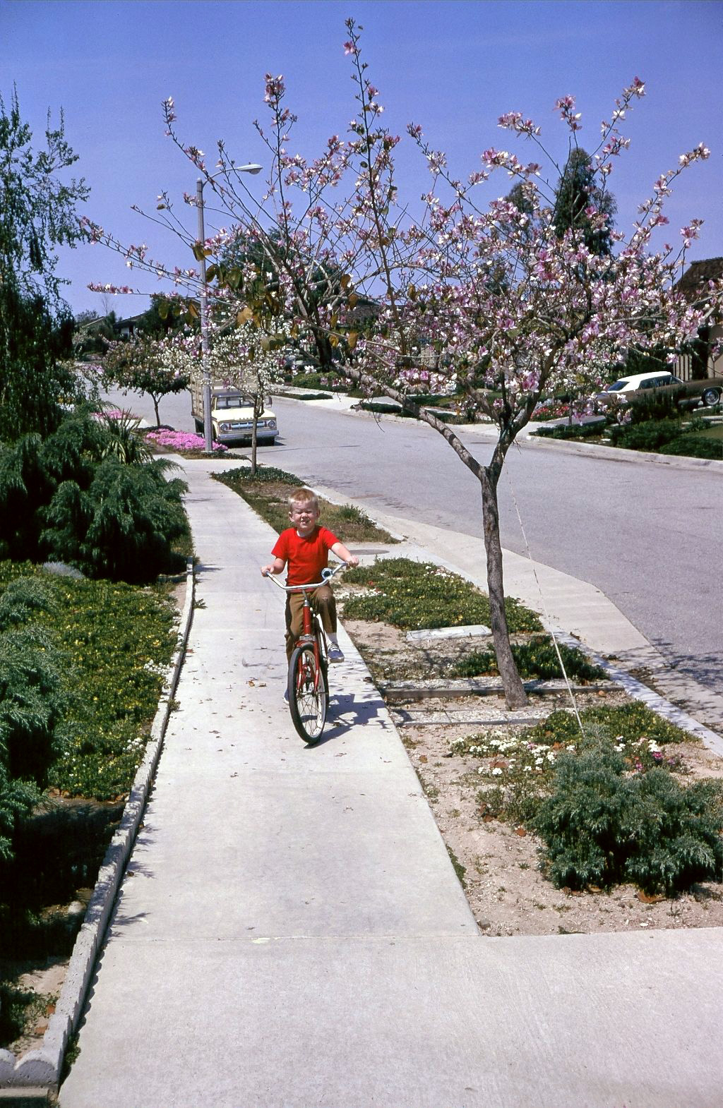 My younger brother, riding his new bike. Our street was a cul-de-sac in Walnut, California. This was probably around 1968. It was a good place for kids to explore the nearby hills. We learned to ride bikes, spend weekend mornings hiking the hills, and staying away from our parents. On our little street, things were mostly like they were in so-called "the good old days." View full size.