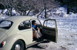 Here, about 1966, is my Mom and our 1965 VW Beetle. 4 speed, 40 horses. This was not our first VW. I remember as a 6 yr old, squeezing into the little compartment behind the back seat, above the engine. Good God, if we had been rear ended, I would have gone up in flames!
This was taken in the local mountains on one of those Southern California days when there was snow. We didn't ski, or stay in a lodge, but I'm sure it was a nice drive on the weekend. 
Dad was a master of squeezing blood from every last penny. He drove a Volkswagen when my friends' fathers had Impalas and Rivieras. He always could find a gas station that was 2 cents a gallon less than the others. At the time, I felt embarrassed, but now I realize he didn't blow his money on cars. View full size.
Had the same carsame color, AND mine even had a gas gauge.
do you recallthe lever on the floor to switch to the "extra gallon" fuel supply?
Also,my Dad got the "Small World" magazine for several years. I recall leafing through them back in the day.
Thanks for responding!
Mvsman
Optional SnowSouthern California snow, I remember it well.  For those of us that grew up there (I grew up in Buena Park, a small city in Orange County), snow was optional during the winter.  We could look to the north and see snow-capped Mt. Baldy and take a day trip to Big Bear or Lake Arrowhead.  I escaped California and moved to DC (and then Virginia) years ago.  It took a good 5 or 6 years to get used to walking in snow with a suit on - since it was optional when I grew up, we always put jeans on and drove to it.  
(ShorpyBlog, Member Gallery)