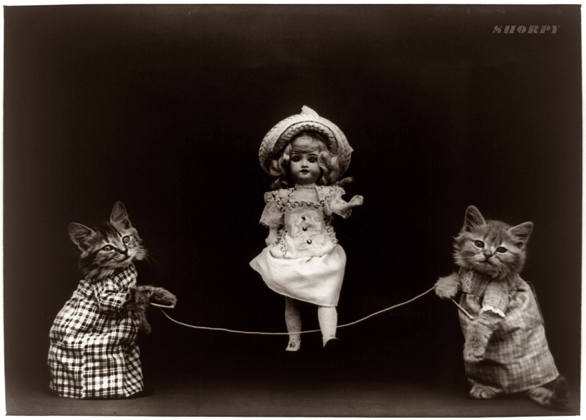 "Two cats, dressed as humans, holding rope, which doll appears to be skipping." Circa 1914 photograph by Harry Whittier Frees. View full size. More on the strangely unsettling photos of Harry Frees here and here. He often used his own cats, Rags and Fluff, with costumes sewn by his mother.