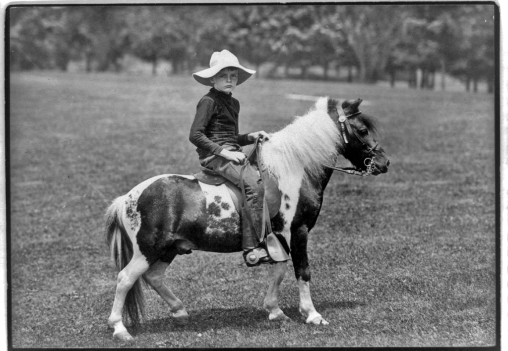 Archie Roosevelt, the son of Theodore, sits on a pony. Photograpy by Pach Bros., c. 1903. View full size. | Archie's biography.