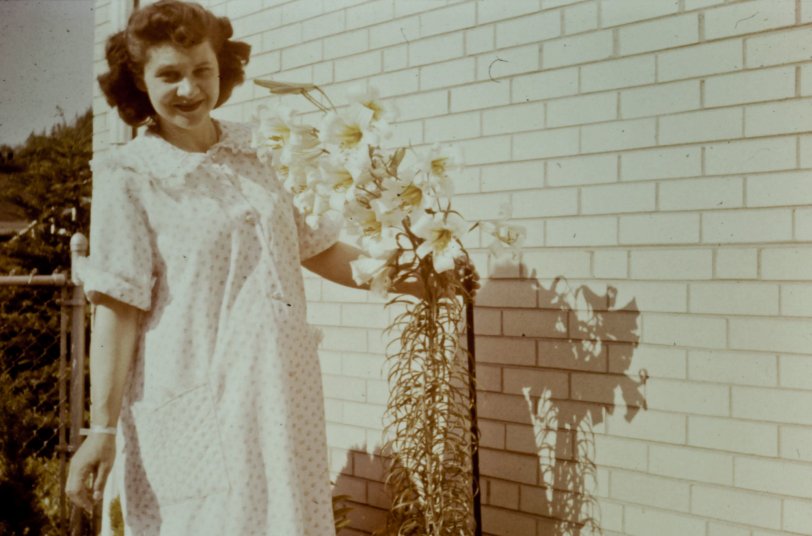 My grandma Bette at 8 months pregnant with her third child. The house was on Wellington in Chicago and the date is May 1958. Kodachrome slide. View full size.
