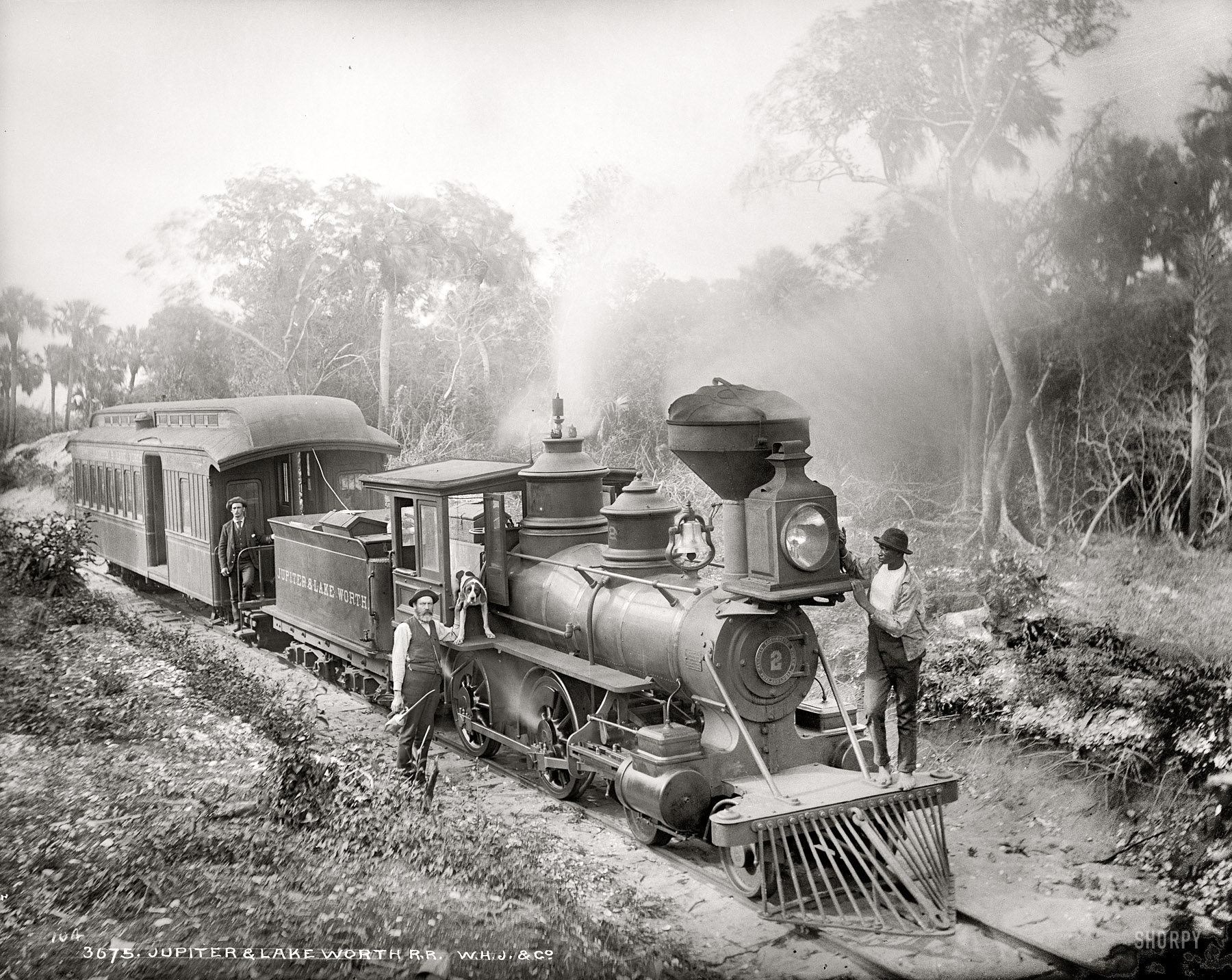 Florida circa 1896. "Jupiter & Lake Worth R.R." And one hound dog who didn't have to wait for the invention of the pickup truck. Dry plate glass negative by William Henry Jackson. Detroit Publishing Company. View full size.