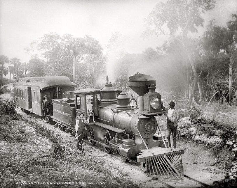 Florida circa 1896. "Jupiter &amp; Lake Worth R.R." And one hound dog who didn't have to wait for the invention of the pickup truck. Dry plate glass negative by William Henry Jackson. Detroit Publishing Company. View full size.
