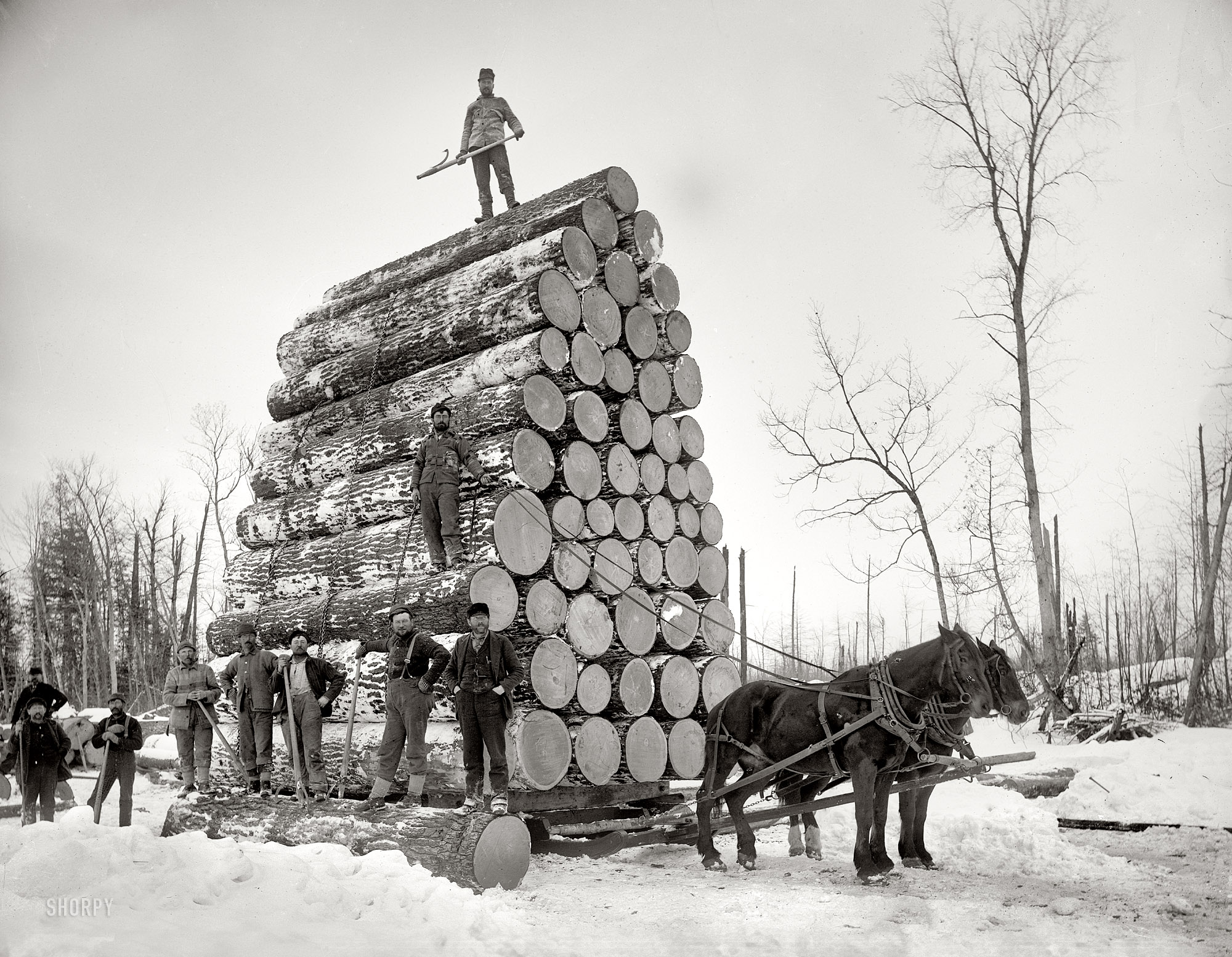 Michigan circa 1890s. "Logging a big load." Continuing our Michigan travelog. 8x10 inch dry plate glass negative, Detroit Publishing Company. View full size.
