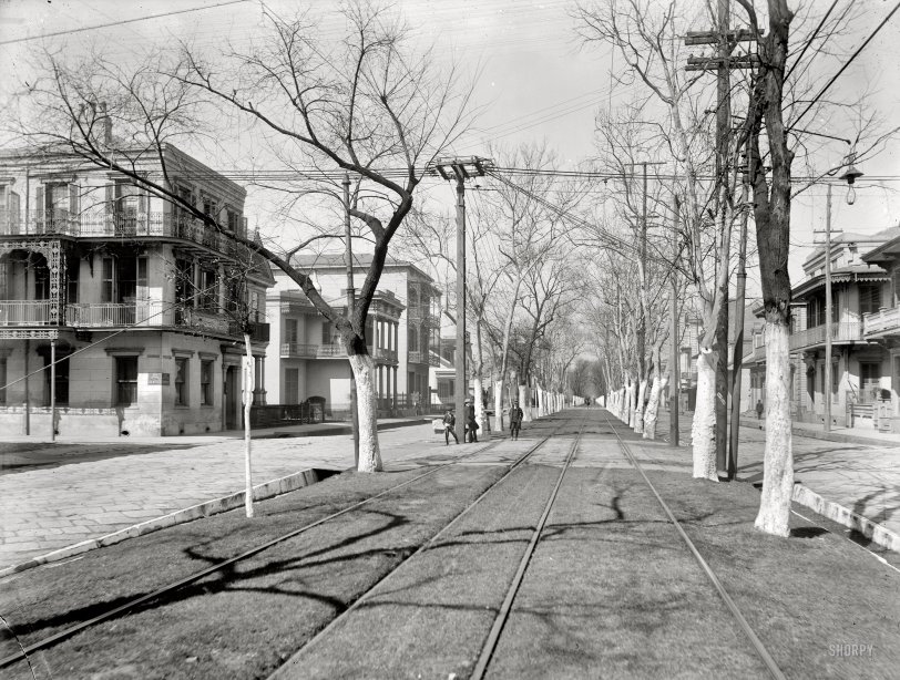 "Esplanade Street, New Orleans, 1900." And running along the grassy median, streetcar tracks. Detroit Publishing Company glass negative. View full size.
