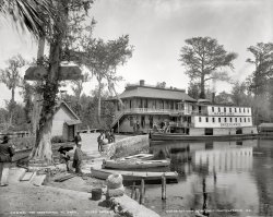 Silver Springs: 1900