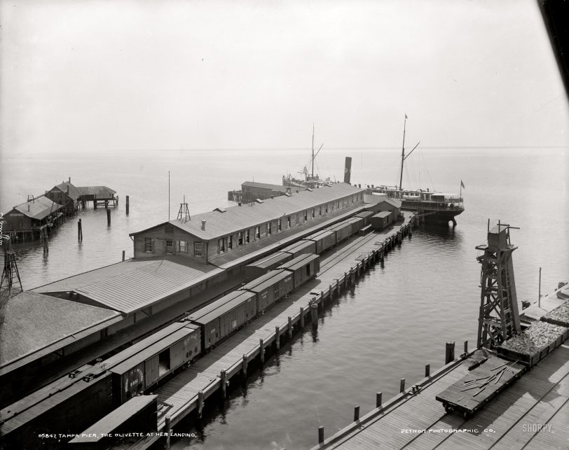 Tampa Pier: 1900
