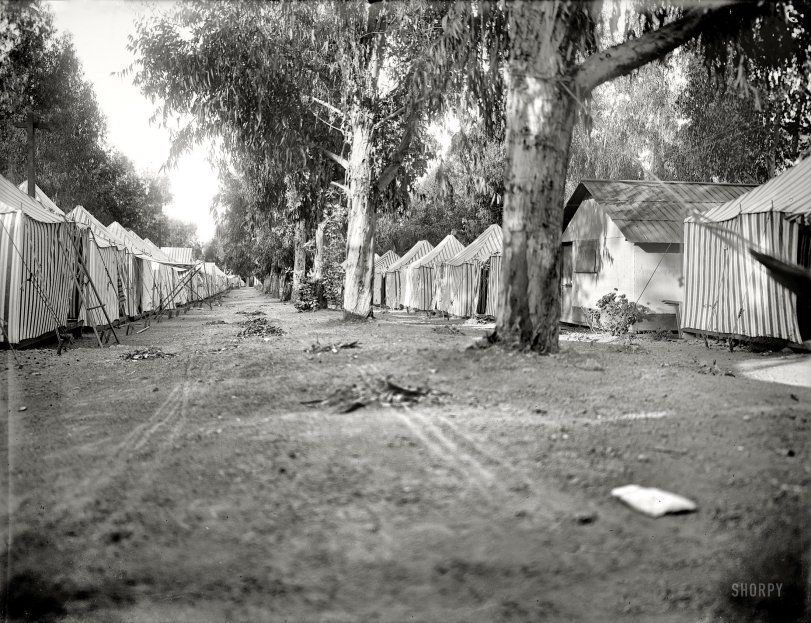 Circa 1903. "Striped tents in two rows." This looks a little like California to me. 8x10 inch dry plate glass negative, Detroit Publishing Company. View full size.
