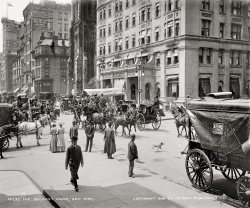 New York circa 1905. "The Belmont coach." Alfred Vanderbilt's Belmont Park four-in-hand passing the Holland House Hotel on Fifth Avenue, in the days when "coaching" was a favored pastime of millionaire sportsmen. View full size.