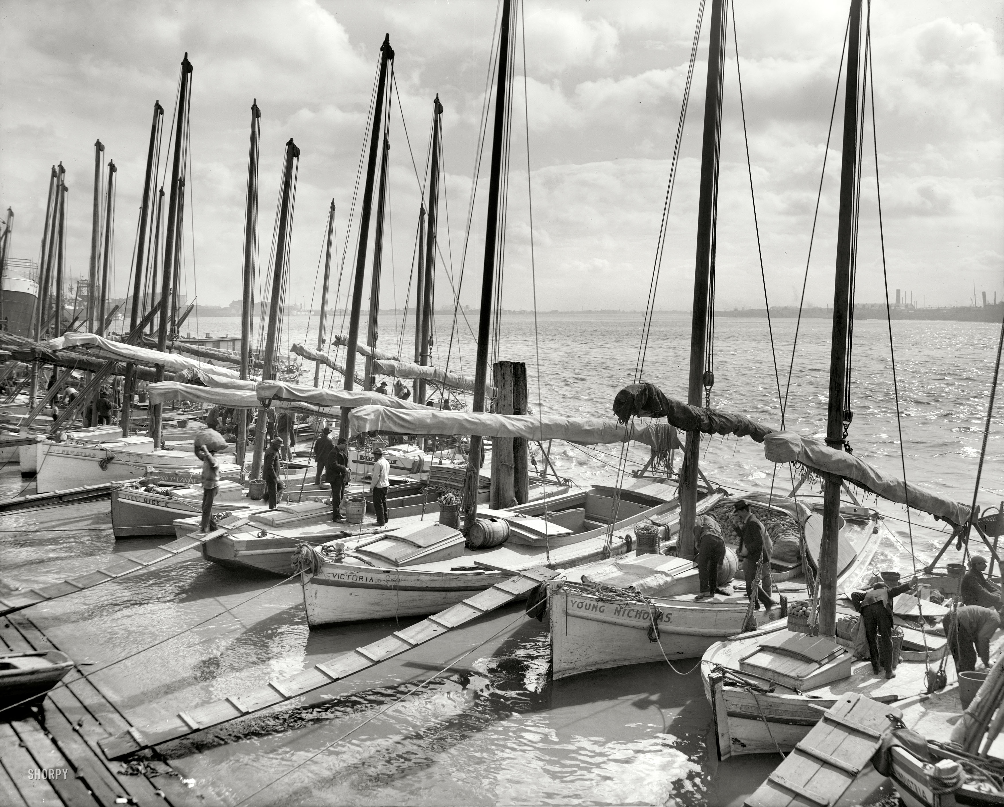 Circa 1906. "Oyster luggers at New Orleans." A continuation of the scene shown in the previous post. Random observation: The masts here remind me of violin bows. 8x10 inch glass negative, Detroit Publishing Company. View full size.