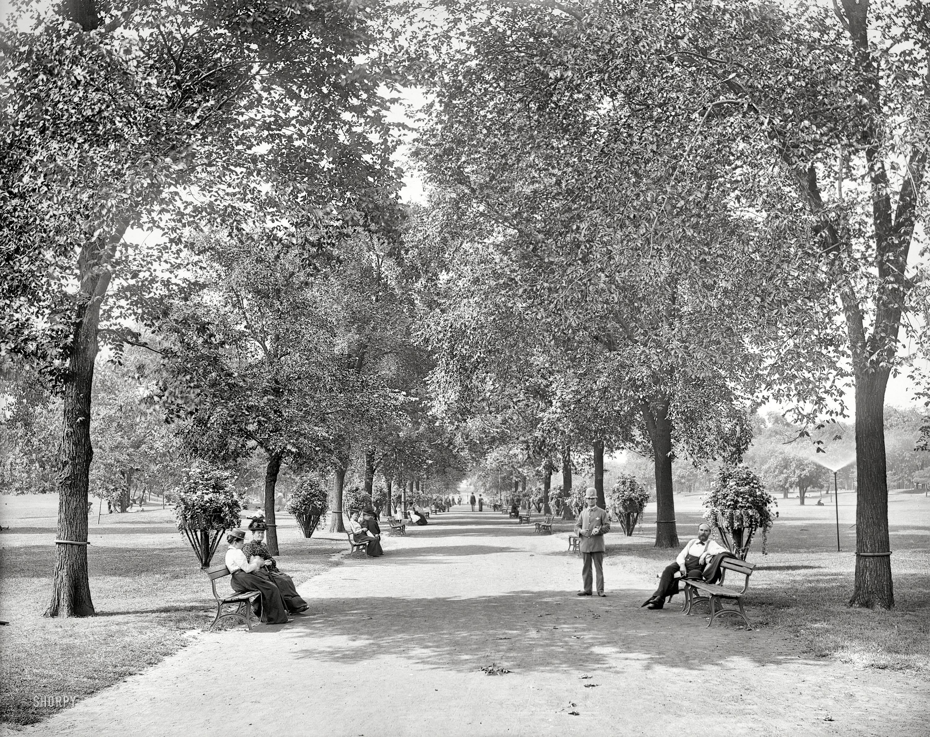 Chicago circa 1900. "A walk in Lincoln Park." We spy a hazard for any tots inclined to run behind park benches. 8x10 glass negative. View full size.