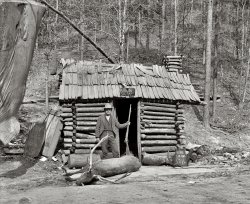 Hot Springs, Arkansas, circa 1901. "McLeod's cabin, Happy Hollow." A further note: "Possibly associated with Norman E. McLeod, photographer, and menagerie." 8x10 glass negative, Detroit Publishing Company. View full size.