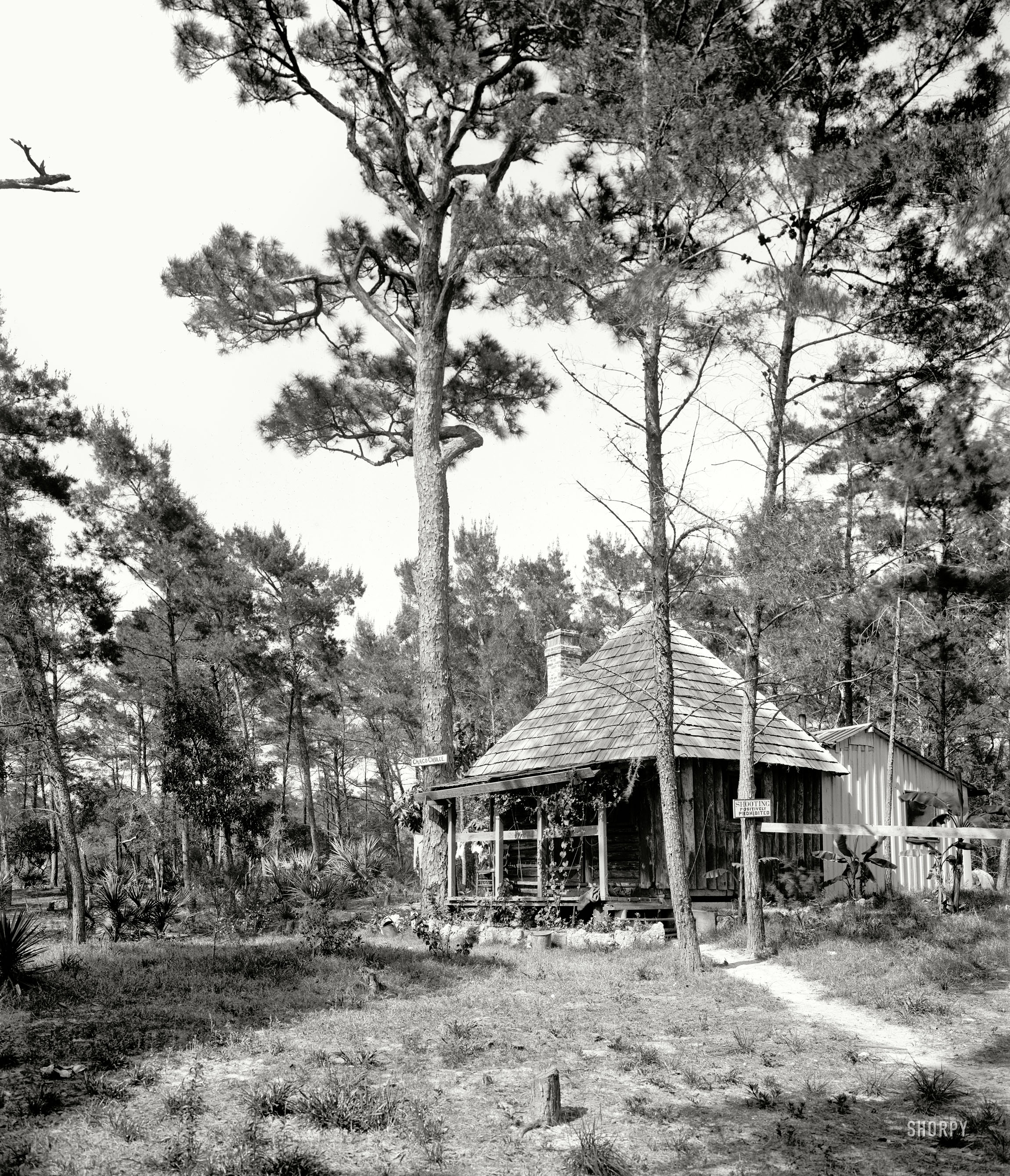 Ormond Beach, Florida, circa 1906. "Chaco Chulee, a summer cottage." 8x10 inch dry plate glass negative, Detroit Publishing Company. View full size.