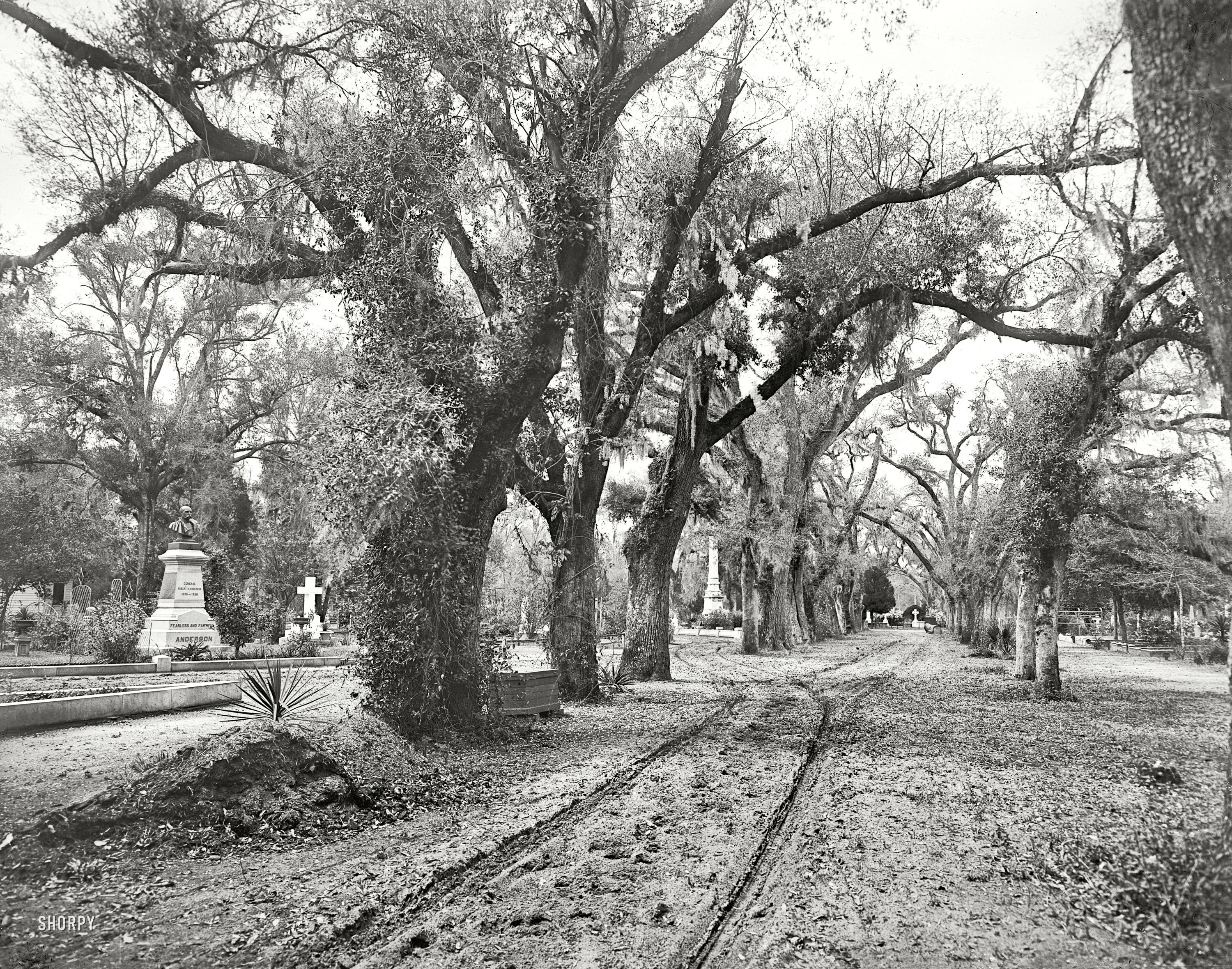 Circa 1901. "Bonaventure Cemetery. Savannah, Georgia." The locals say it's best not to travel alone here after sundown. 8x10 inch glass negative. View full size.