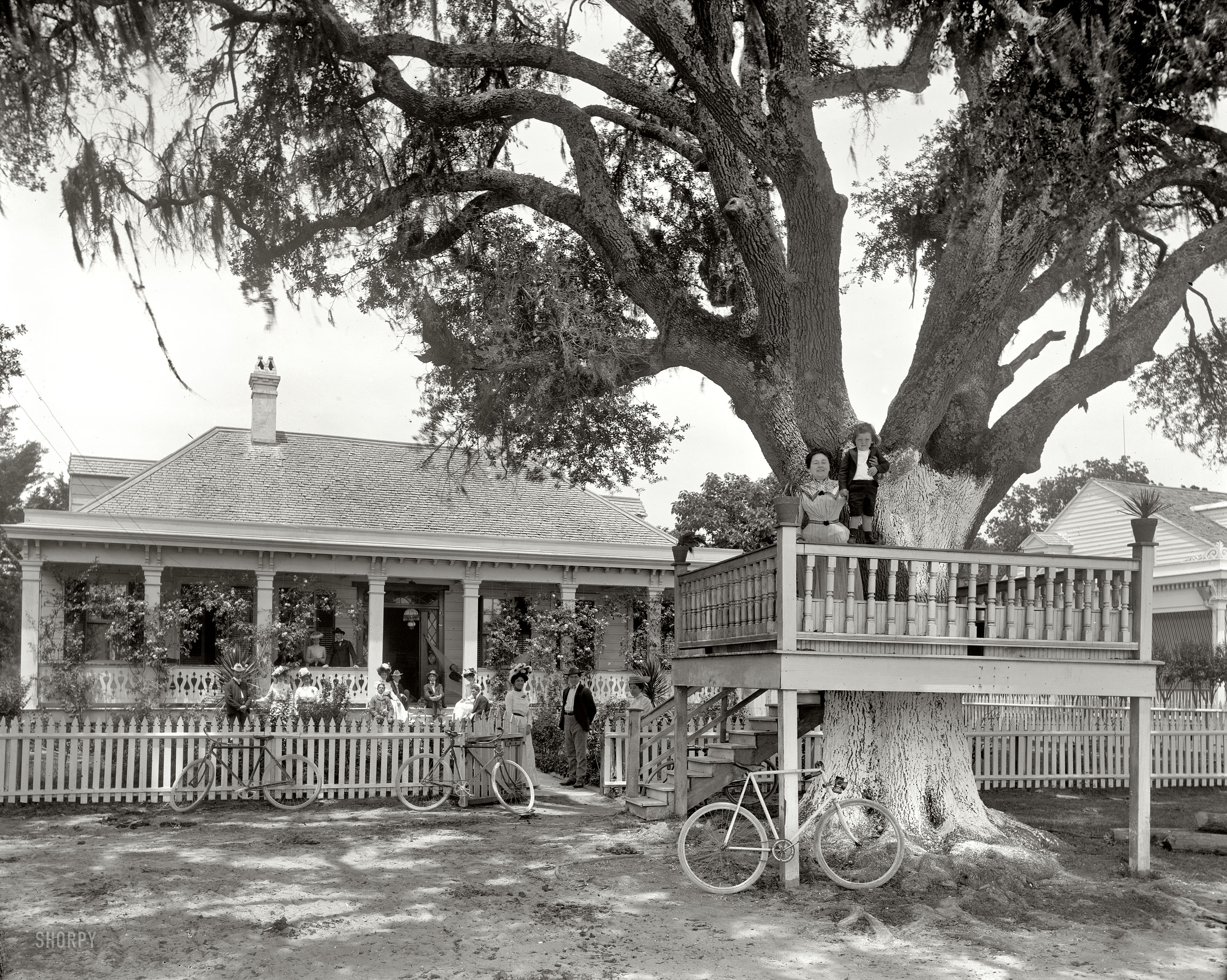 Mississippi circa 1901. "Harry's Villa, Bay St. Louis." 8x10 inch dry plate glass negative, Detroit Publishing Company. View full size.