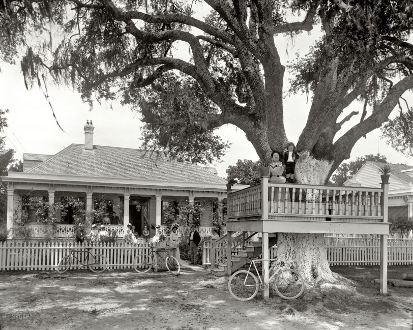 Harry's Villa: 1901