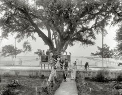 Bay St. Louis, Mississippi, circa 1901. "Shoo-fly at Madame Boyle's." Another glimpse of nattily dressed tourists taking the air in this Southern resort. 8x10 inch dry plate glass negative, Detroit Publishing Company. View full size.