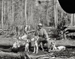 "Eager for deer. Deer-hunting beagles." Circa 1901-1906 photograph by William Henry Jackson. Detroit Publishing Company glass negative. View full size.