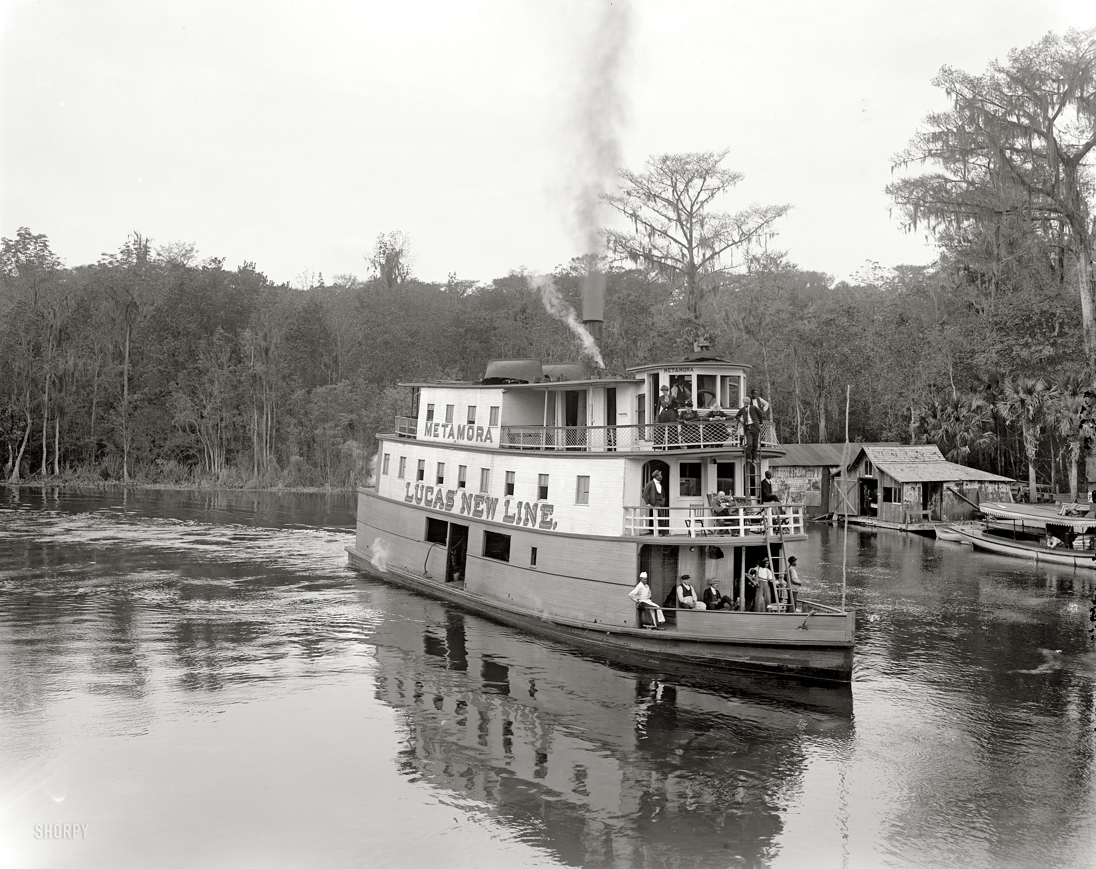 Florida circa 1902. "At Silver Springs on the Ocklawaha." Our second look at the river steamer Metamora of Palatka. 8x10 inch dry plate glass negative by William Henry Jackson, Detroit Publishing Company. View full size.