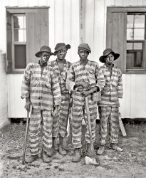 Circa 1905, somewhere in the American South. "A Southern chain gang." 8x10 inch dry plate glass negative, Detroit Publishing Company. View full size.