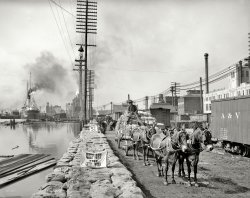 Levee Work: 1903