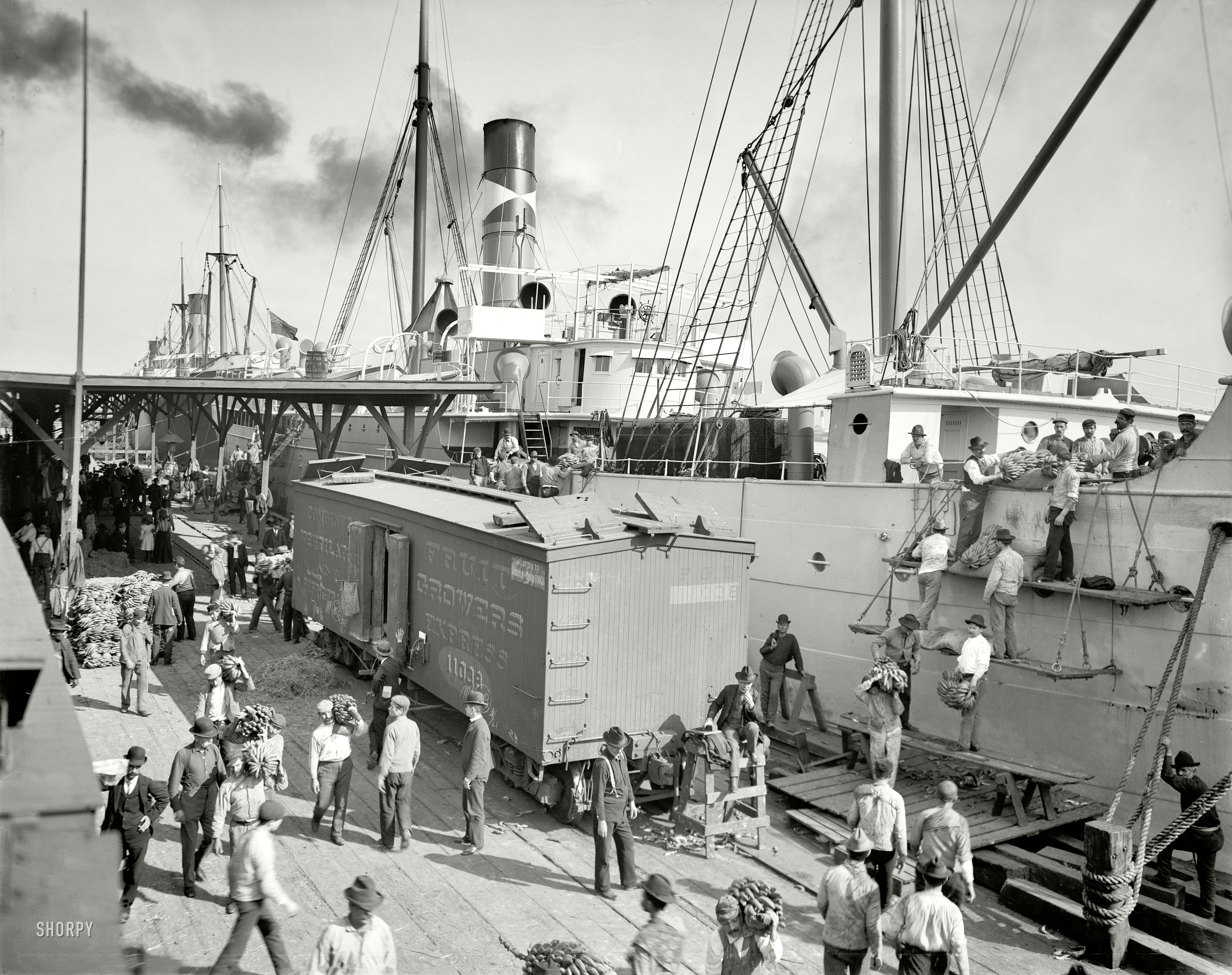 Circa 1903. "Unloading bananas at New Orleans, Louisiana." An alternate view of this scene. 8x10 inch glass negative, Detroit Publishing Co. View full size.