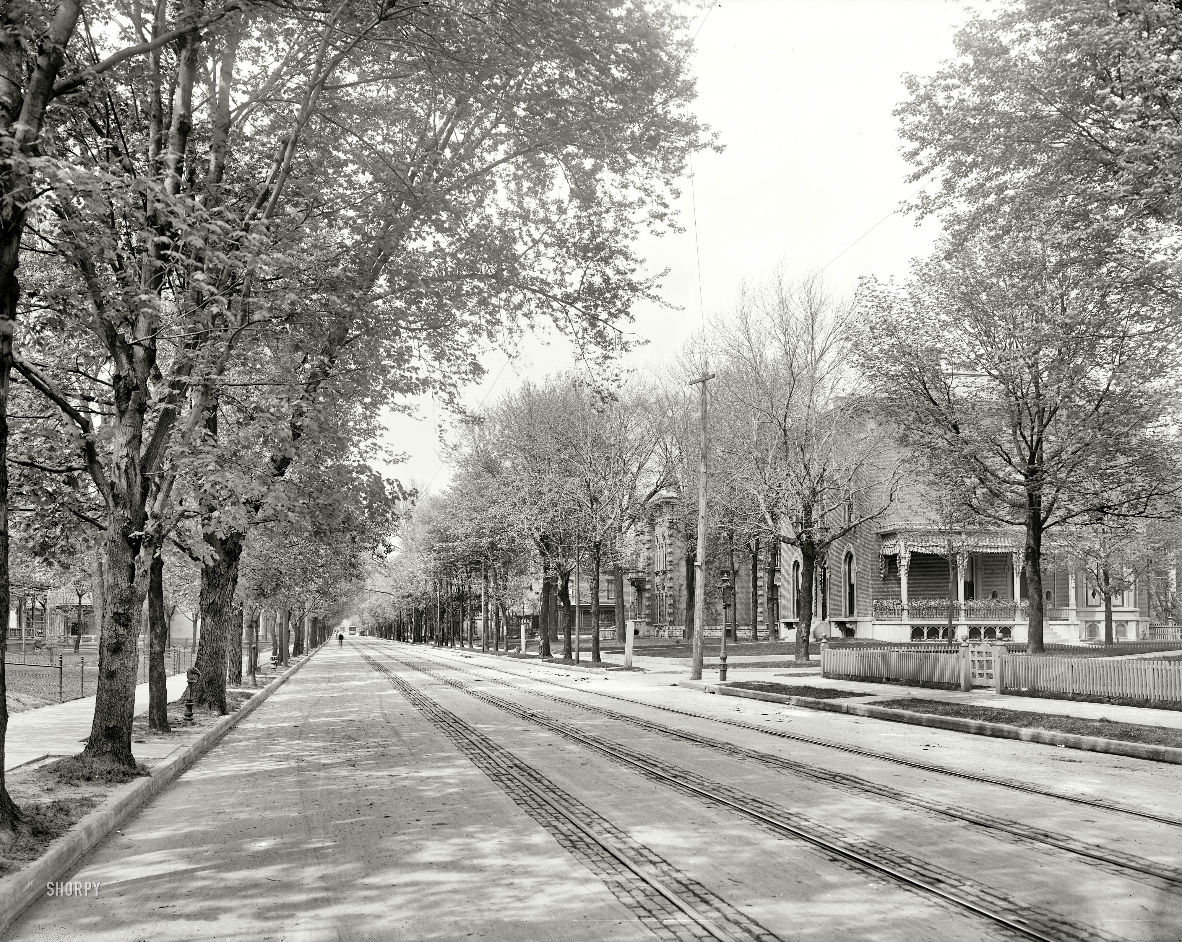 Indianapolis, Indiana, circa 1904. "North Pennsylvania Street." There's not much going on here, which maybe is part of this picture's charm. Lots of hitching posts, though. 8x10 inch glass negative, Detroit Publishing Company. View full size.