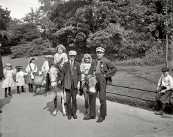 New York City circa 1904. "Donkeys in Central Park." Lest there be any doubt about the credentials of these young fellows, their Parks Department badges identify them as "Donkey Boys" 1 and 2. Detroit Publishing Co. View full size.