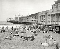 The Steel Pier: 1904