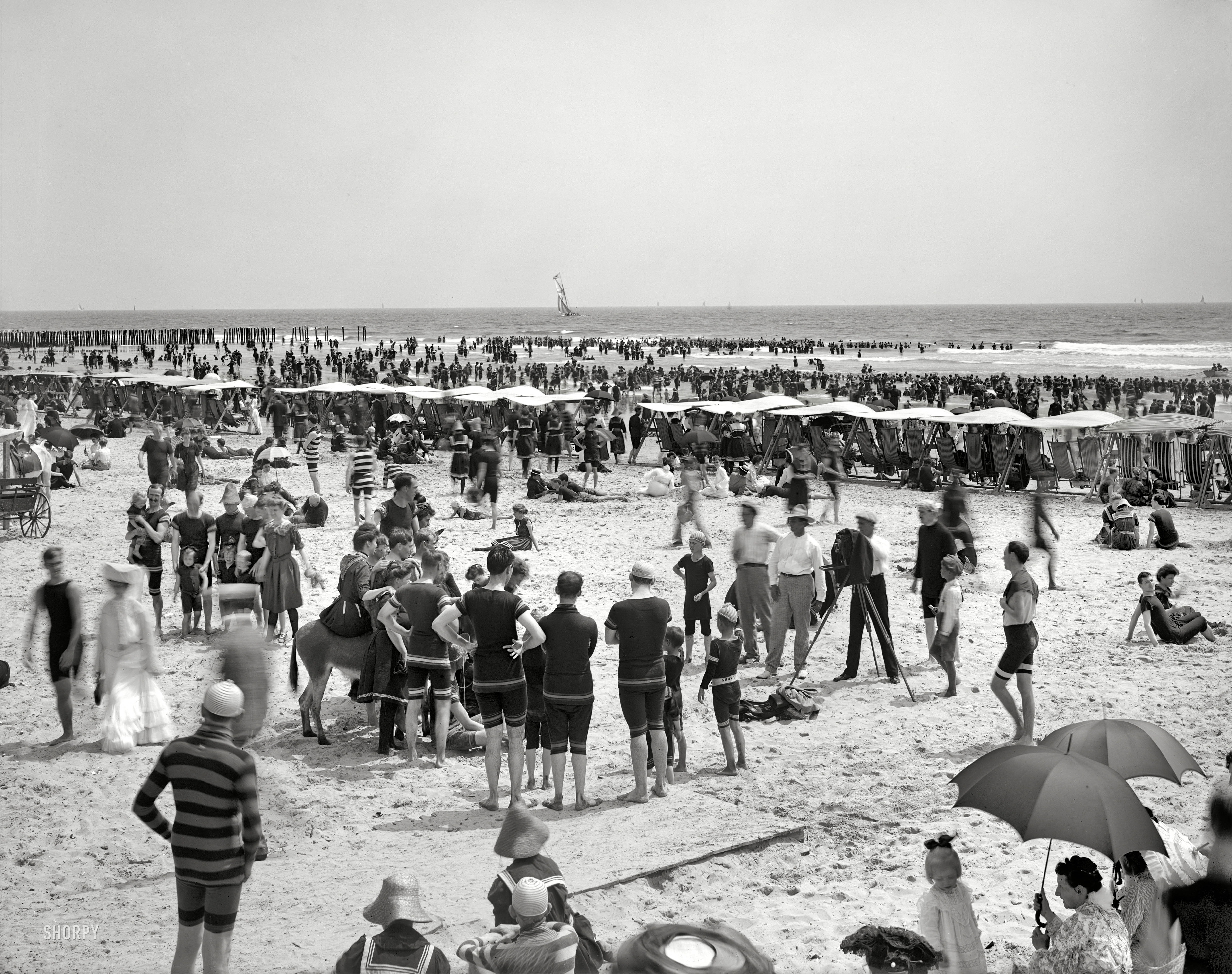 The Jersey Shore circa 1904. "The Beach at Atlantic City." One hundred seven years after this photograph was made, the people here are finally ready for their high-definition closeup. 8x10 inch dry plate glass negative. View full size.