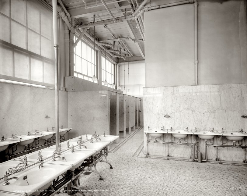 Niagara Falls, New York, circa 1906. "A toilet room, Natural Food Conservatory." Behind the scenes at the progressive home of Shredded Wheat. View full size.
