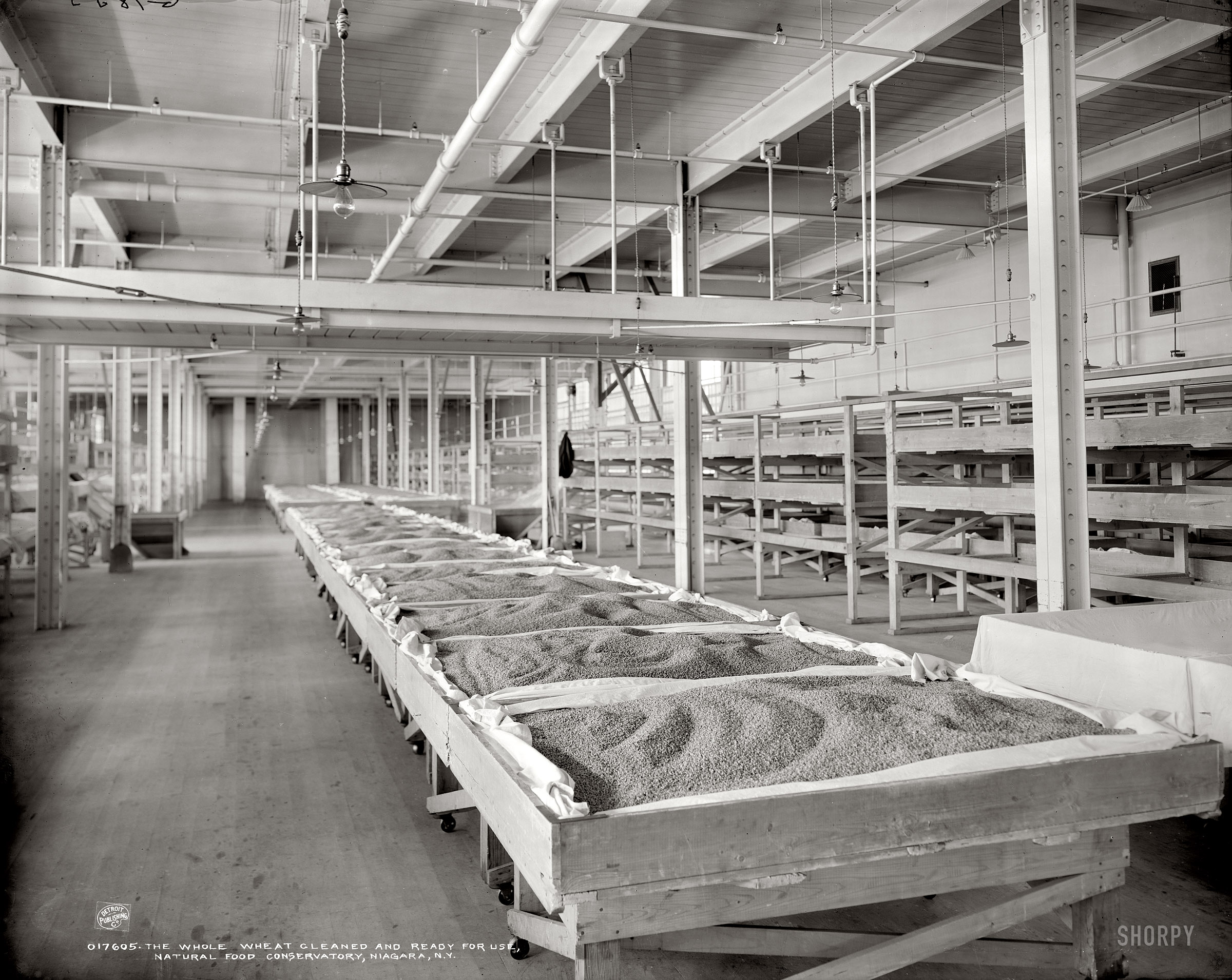 Niagara Falls, New York, circa 1906. "Natural Food Conservatory. The whole wheat cleaned and ready for use." Incipient Shredded Wheat. 8x10 inch dry plate glass negative, Detroit Publishing Company. View full size.