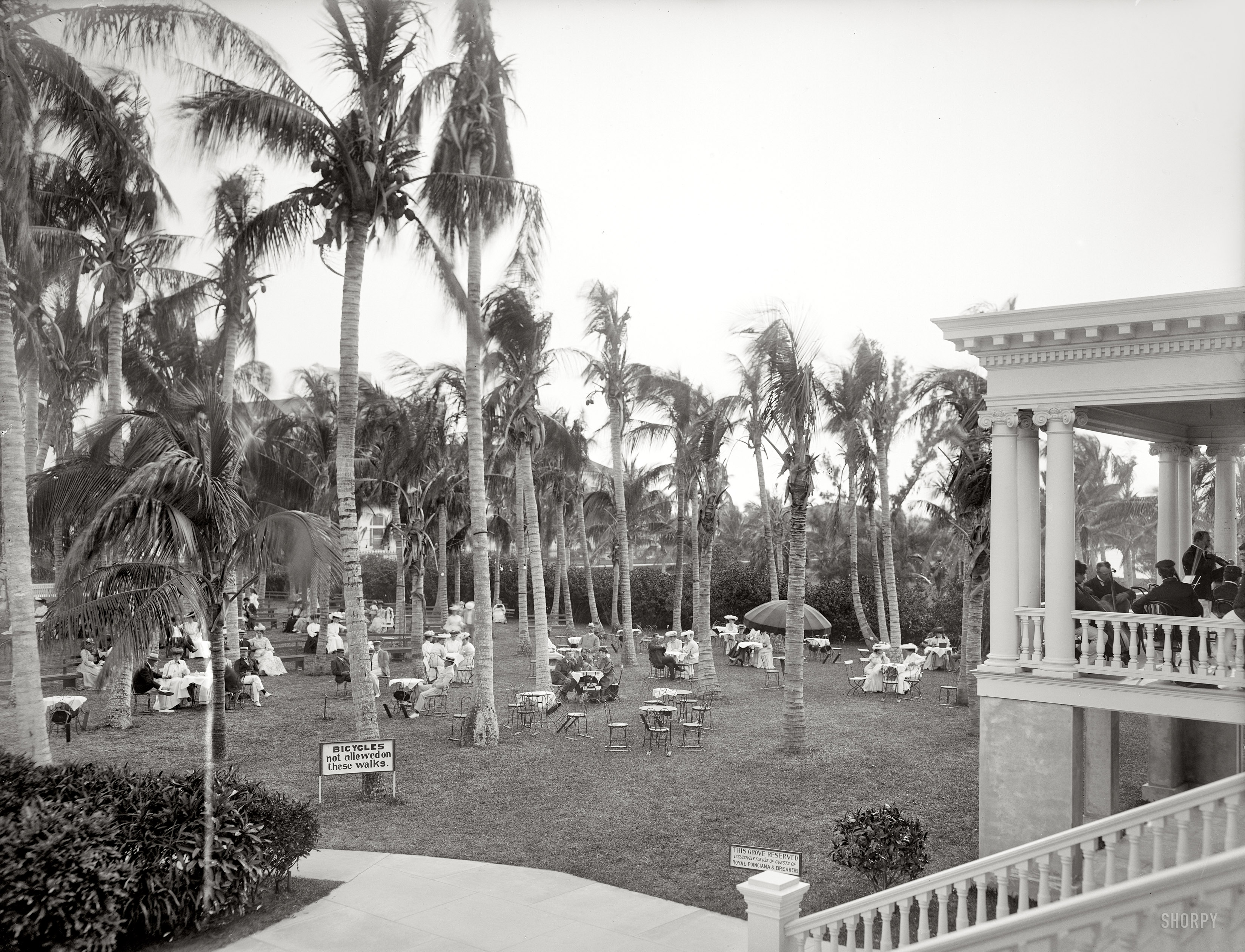 Florida circa 1904. "Afternoon concert hour. The Royal Poinciana, Palm Beach." We return to the RP for a bit of culture. And please, no velocipedes. 8x10 inch dry plate glass negative, Detroit Publishing Company. View full size.