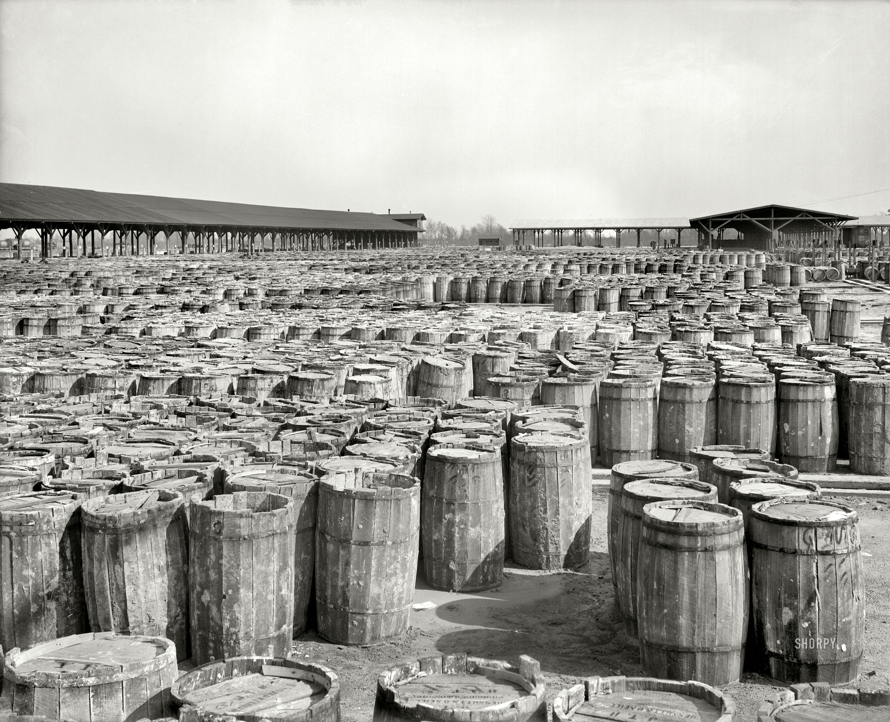 Georgia circa 1904. "Naval stores, Chesnutt & O'Neill, Savannah." A center of the resin and turpentine, or naval stores, industry. View full size.