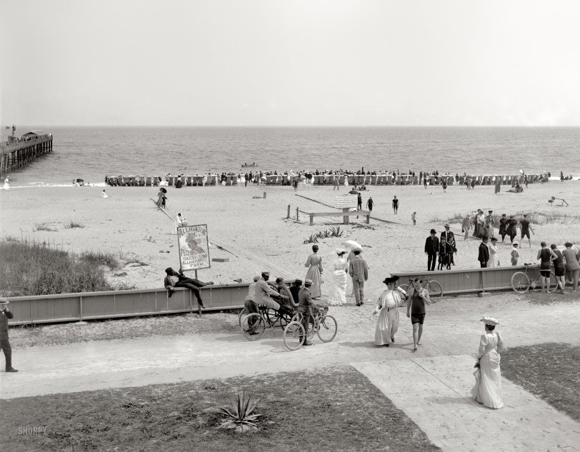 Florida circa 1905. "The beach at Palm Beach." Making a cameo appearance here: our old friend Alligator Joe. Detroit Publishing glass negative. View full size.
