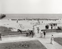 Florida circa 1905. "The beach at Palm Beach." Making a cameo appearance here: our old friend Alligator Joe. Detroit Publishing glass negative. View full size.
A light perambulator, of adult sizeHenry James, the great novelist of the American expatriate experience, made a ten-month return visit to the United States in 1904-05 and described his impressions in "The American Scene."
In Chapter 14, he describes tourists at Palm Beach traveling "by means of a light perambulator, of 'adult size,' but constructed of wicker-work, and pendent from a bicycle propelled by a robust negro."
And where were they going? To visit a citrus grove -- or, as James calls, it, a "jungle."
Swimming AttireIs the person to the left of the umbrella actually wearing a tie in the water? I didn't realize Palm Beach was so dressy back when.
Finally some African-American faces!They may not have been permitted on the beach, but at least they got to enjoy the sun and breeze while propping up signs and peddling velocipede-chairs.
CSI Miami - 1905Someone call Horatio Kane - from the looks of the beach strollers, the remains of a homicide victim have been discovered off the boardwalk behind the wall.  It's going to take the whole forensics team and trite dialogue to solve this case.  
&quot;Expert Life Guards&quot;The bathing hours on this beach
are 11 to 1 during which expert
Life Guards and Boatmen are provided
for the safety of Casino Guests.
Please be guided by their advice
when entering water.
-- Geo E. Andrews Supt
Move along, folksThe crowd down by the water's edge is looking at something. The only thing we can see are the two guys in the rowboat and a few guys between them and the beach. Was something dangerous happening? Or does Alligator Joe have a new exhibit in the water?
ClothesI don't know why half of them aren't dying of heatstroke.  Especially the men in dark three-piece suits and hats.  And in that salty and sandy environment... makes me itch just to look at them.
[It's winter, or thereabouts. - Dave]
But they never get them wet!For all that ocean, and all those bathing suits, somebody should be getting wet, yes? 
(The Gallery, Bicycles, DPC, Florida)