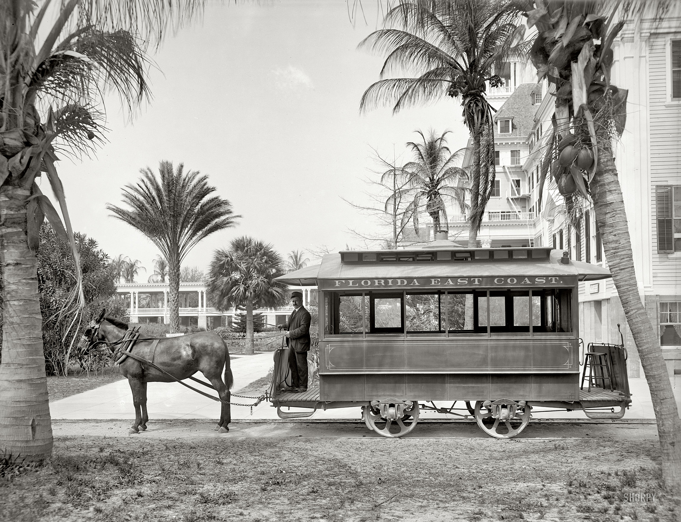Florida circa 1905. "The Palm Beach 'trolley.' " Early development in the Sunshine State. 8x10 inch dry plate glass negative, Detroit Publishing Co. View full size.