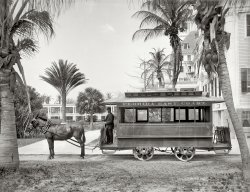 Palm Beach: 1905