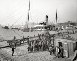 Baltimore, Maryland, circa 1905. "Payday for the stevedores." 8x10 inch dry plate glass negative, Detroit Publishing Company. View full size.